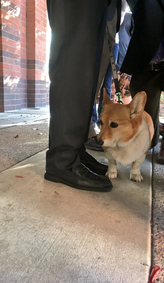 Governor Newsom Press Office (@govpressoffice) on Twitter photo .<a href="/JerryBrownGov/">Jerry Brown</a> (& <a href="/SutterBrown/">Sutter Brown</a>) take Qs from reporters after voting in Sacramento this morning #Election2016 #CAVotes #Voted .<a href="/JerryBrownGov/">Jerry Brown</a> (& <a href="/SutterBrown/">Sutter Brown</a>) take Qs from reporters after voting in Sacramento this morning #Election2016 #CAVotes #Voted