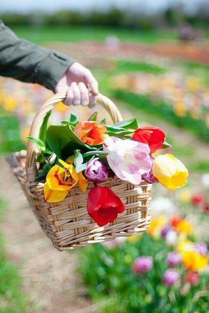 عش حياتك وأسعد نفسك واستمتع بوقتك فهناك أشياء حلها عند الله ، لا ترهق نفسك بالتفكير و الله عنده حسن التدبير .