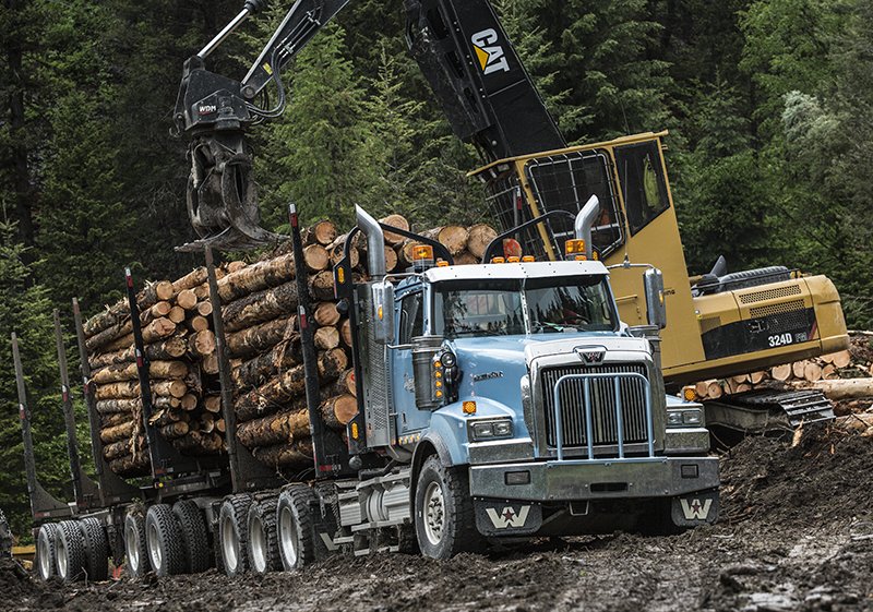 WstrnStarTrucks's tweet image. One moose can ruin your whole day. That&apos;s why you&apos;ll find the heavy-duty bumper options to protect your truck from the hazards out there.