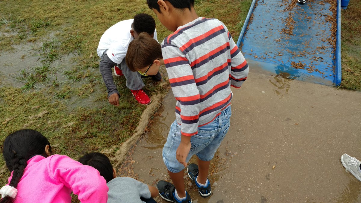 3rdHusky's tweet photo. Rescuing worms! #huskiescan #kidsneedtoplay #evenwhenitswet https://t.co/ek3bbufJWo