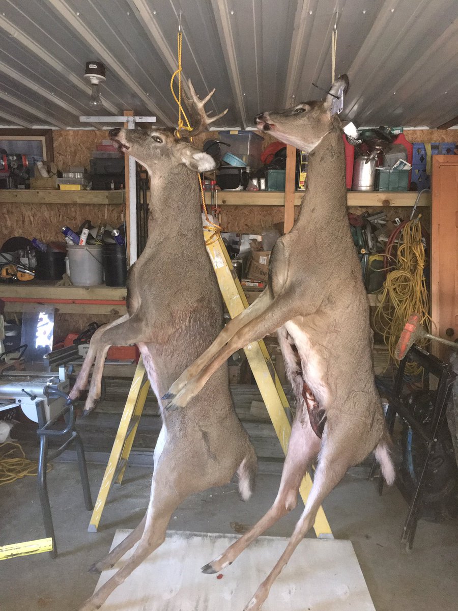 Got a pretty nice six should of been a 8 but had no brow tines but the big body made up for it