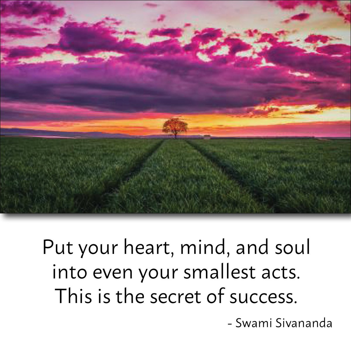 vitelity's tweet photo. Put your heart, mind, and soul into even your smallest acts. This is the secret of success. Vitelity believes in the human spirit. https://t.co/AtnidWgIny