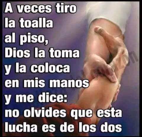 logisticatapati's tweet image. 