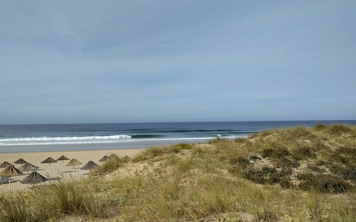 bakeryhq's tweet image. Any #WebSummit folks want to go surfing Friday afternoon? Leaving Lisbon for Caparica at 1pm back at 6. 16 people max cc @WebSummit