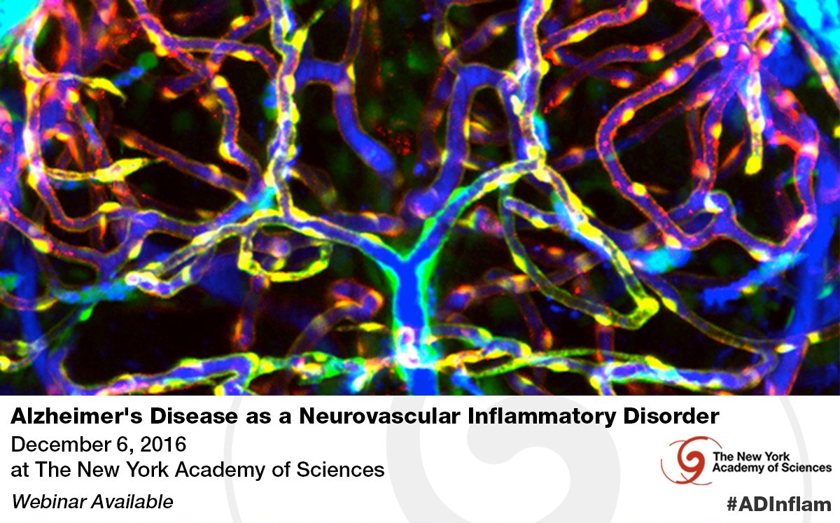 NYASciences's tweet photo. Less than a month away - Alzheimer's &amp; neurovascular inflammation event w/ @AkassoglouLab @Jeffreyiliff @HeatherAlz https://t.co/S1rfWWBJMo https://t.co/BnnvN4JgDR
