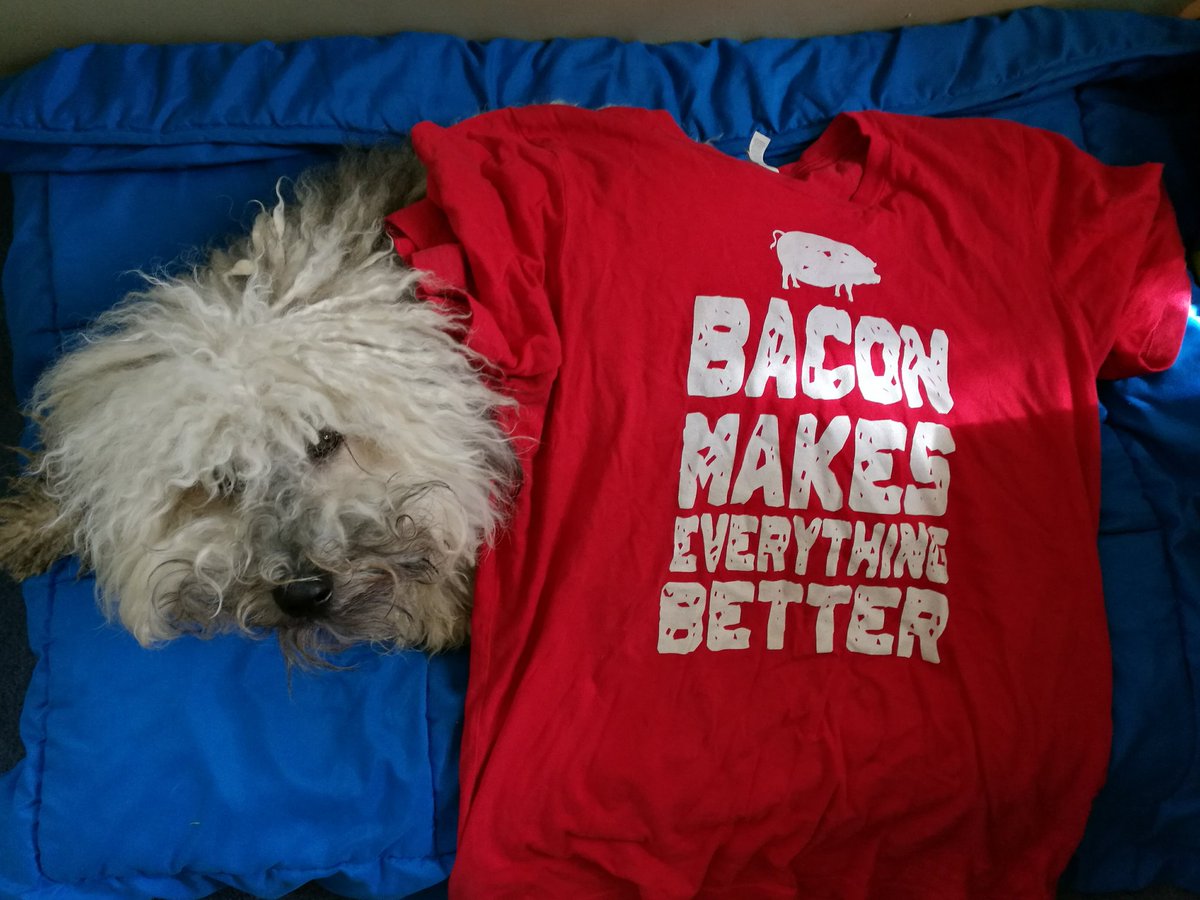 smattox114's tweet photo. #BaconforPresident https://t.co/bDyIopt8Ns