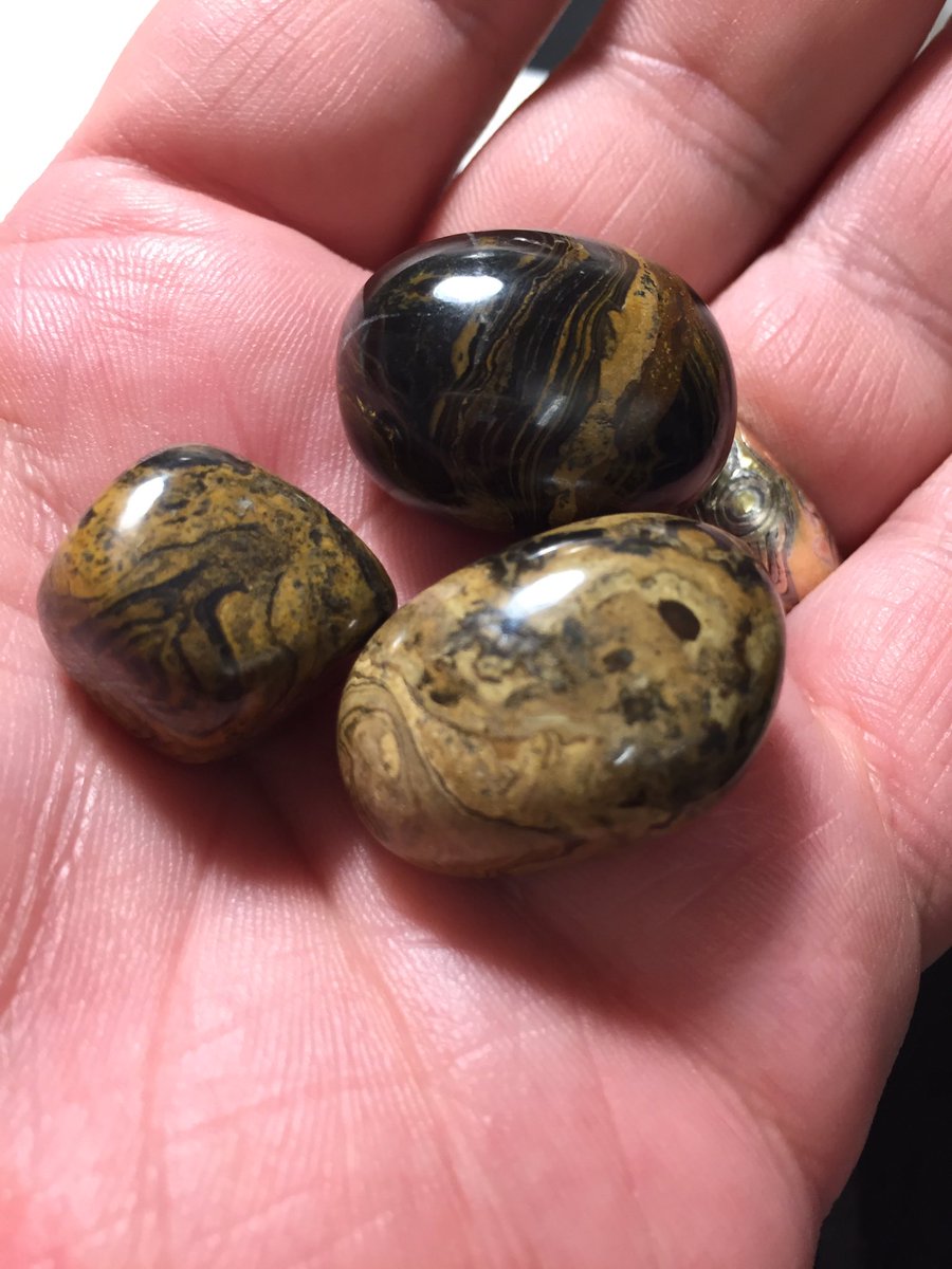 markowenmartin's tweet photo. Gave my #Bio350 micronauts a piece of 500 million year old #MicrobialHistory today: a stromatolite. #FirstEvolvedLastExtinct @univpugetsound https://t.co/dB0MHoVyfK