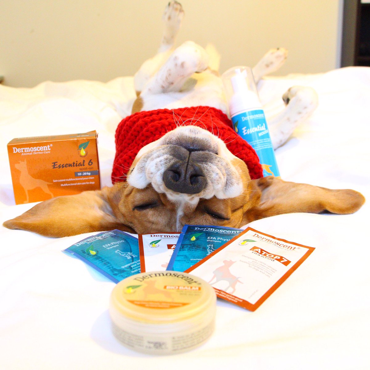 Week-end spa en perspective! Merci @Dermoscent ❤️
Et le week-end commence Jeudi en plus!!... #jeuconcours à venir sur Insta et boobook ! 😘