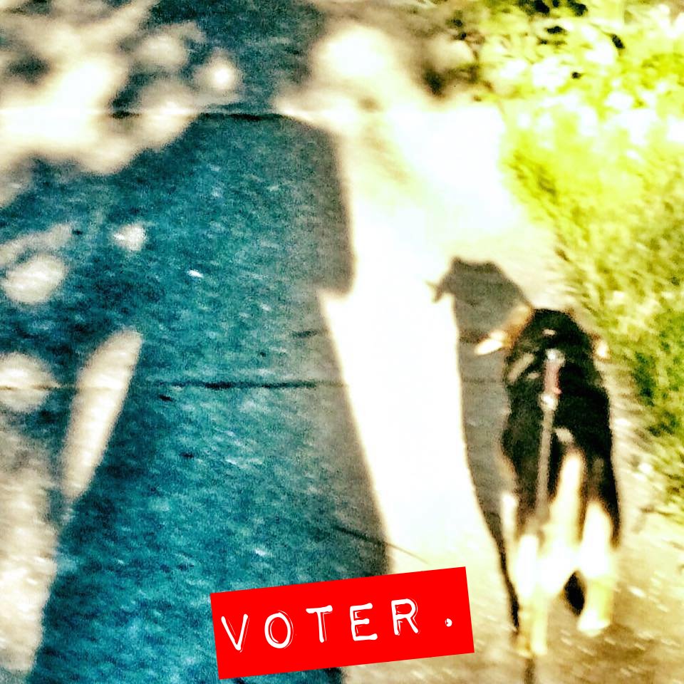 PartnersNapier's tweet photo. Cindy and her pup do #partnersvotes. #votetocount. https://t.co/3DIYP793m9