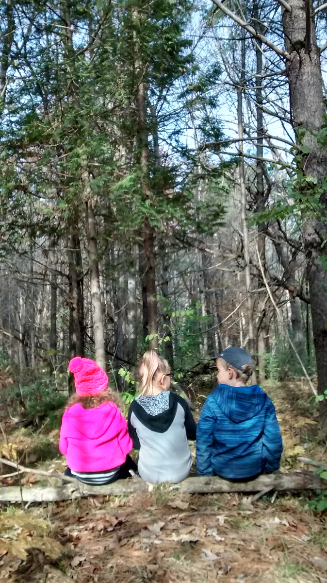 "If you listen, they cover all kinds of expectations on their own." -<a href="/uOttawaEdu/">uOttawa Education</a> B.Ed candidate observing <a href="/OCDSB/">OCDSB</a> students at #forestschool