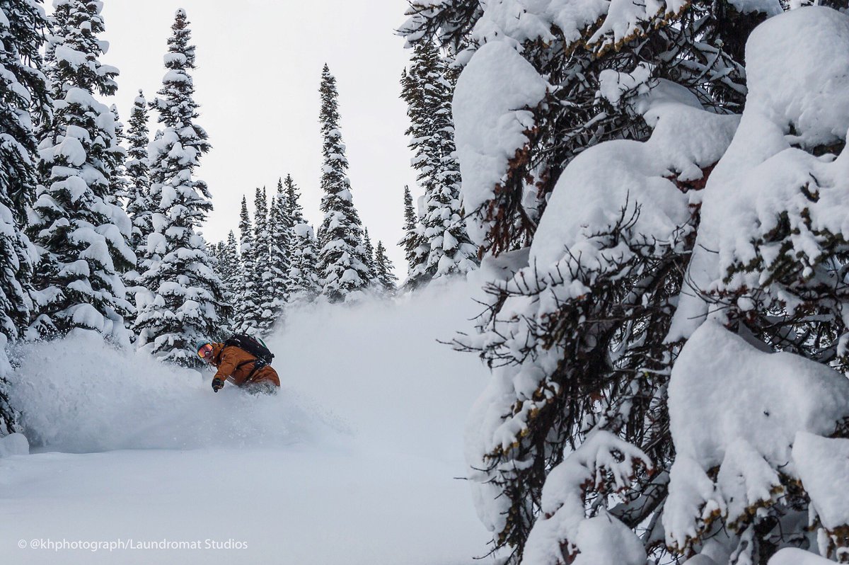Endless pow, coming at ya. 📷@khphotograph <a href="/LaundryStudios/">Laundry Room Studios</a> #deeppow #heliskiing #skipurcell