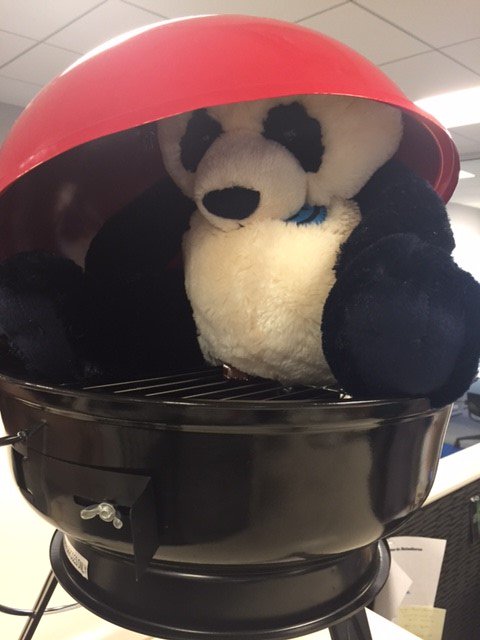 UnitedPandaWay's tweet photo. Playing hide and seek with my human #peekaboopanda #SPSGIVESBACK https://t.co/nlrnmh0KrB