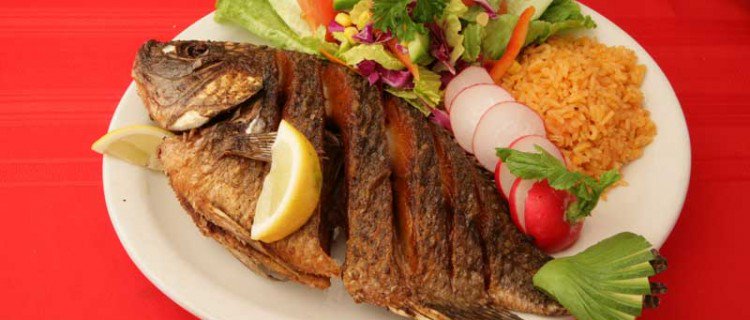VeracruzTurismo's tweet photo. #PalabrasInmortales .. "Comeré una mojarra frita".
¡Buen provecho!
#MéxicoSabeA
#DeViaje por #VeracruzIncomparable https://t.co/bKcWAmdH56
