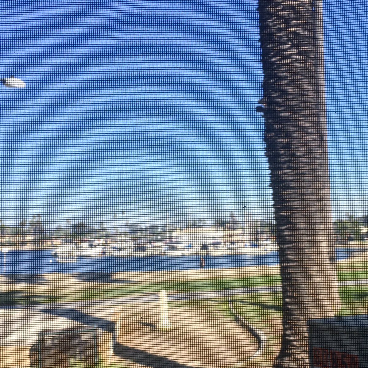 DrMVPsimivalley's tweet photo. #CCIS2016 is over, enjoying lunch in San Diego and going gear up for the @ACSA_info conference! https://t.co/CU9LOU1p39