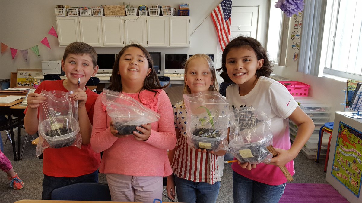 heyteach4's tweet photo. We have some master botanists in 4th grade!! Testing tolerance of water and salt for different seeds. @DCSVikings https://t.co/ZJdLgkHlLw