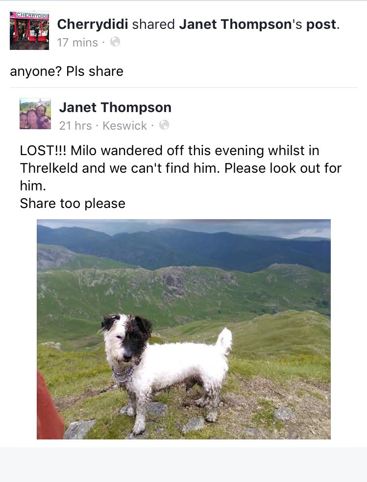 Not Just Lakes tweet media