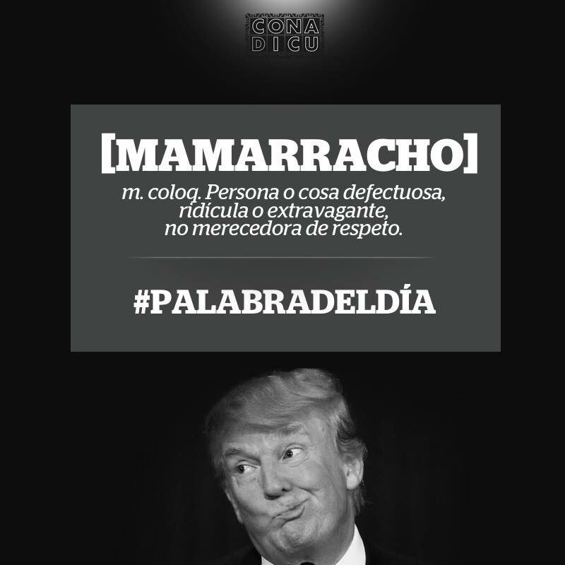 CONADICUMEX's tweet photo. [ MAMARRACHO ] esa es nuestra #palabradeldia. ¿Conoces a alguien así? #ElectionDay https://t.co/VX4MCF76sK