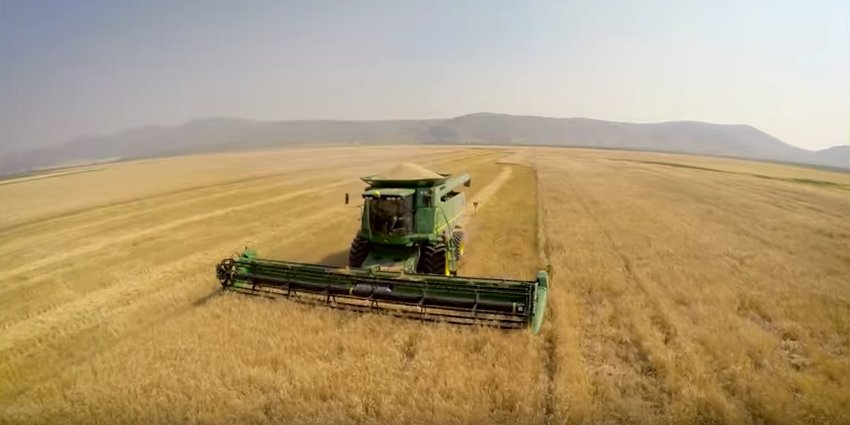 MolsonCoors's tweet photo. Relax, there's barley as far as the eye can see. https://t.co/XnIza7LrxC