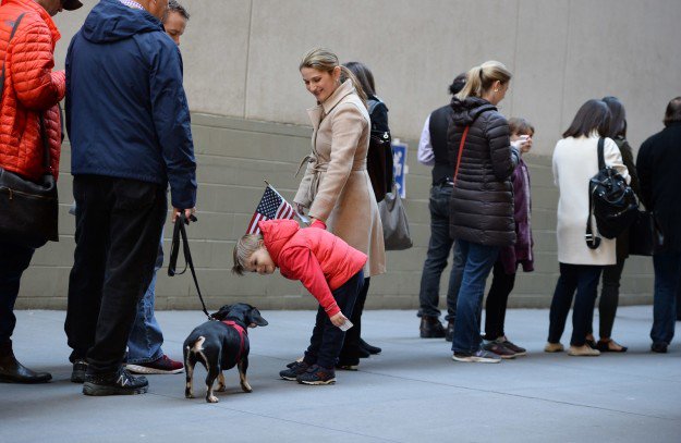 BuzzFeed's tweet photo. 13 good dogs who went to the polls today https://t.co/6iebB1Llfw https://t.co/SV9WzfMOsH