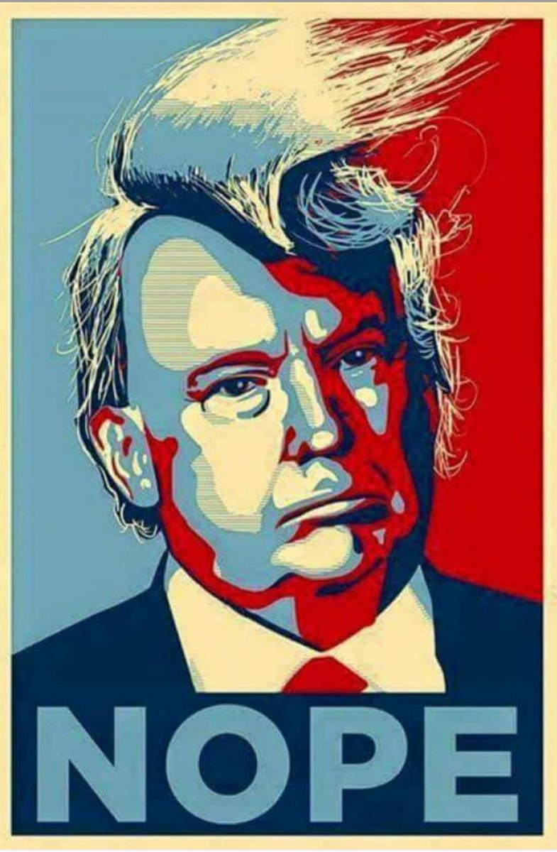 TizzieBeeDesign's tweet image. Hoping that tonights decision is the sane one 😓 #ElectionNight