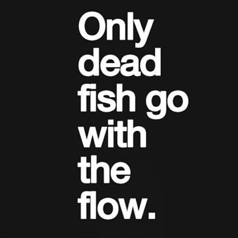 Fit_Motivator's tweet photo. #TuesdayMotivation https://t.co/XpZiW5FIsS