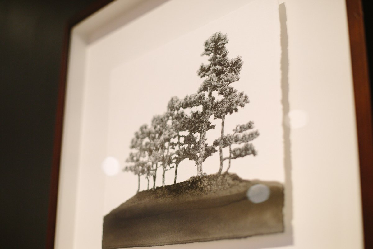 MuseumofBris's tweet photo. Artist profile: Charwei Tsai 1/2. Bonsai Series III – no. VI, 2001. Black ink on lithographs. #inkremix https://t.co/MYaCOguHhV