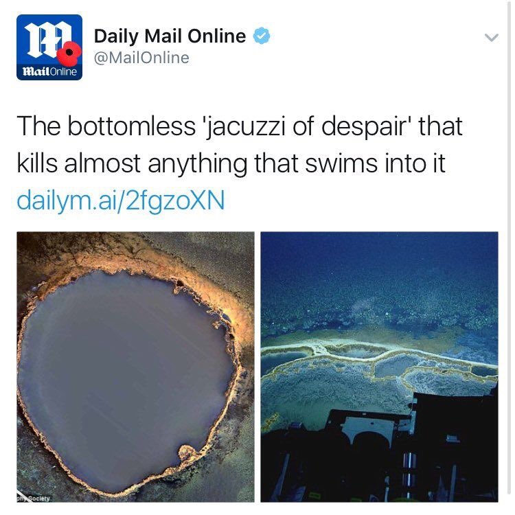 EWillsy_17's tweet photo. #imabouttodivein https://t.co/UZFWnFMMoN