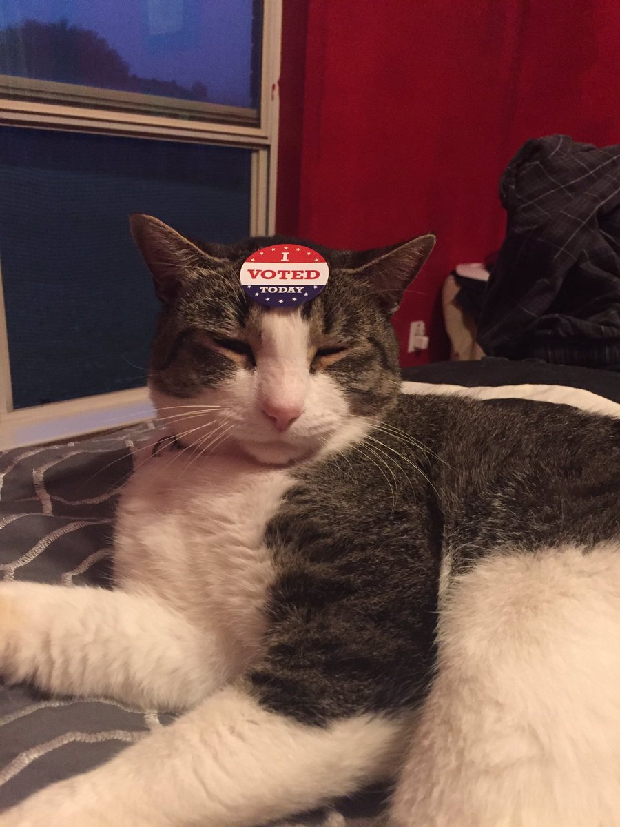 Leofatrio's tweet photo. Duty done.....thanks human https://t.co/eRemzNh8ch