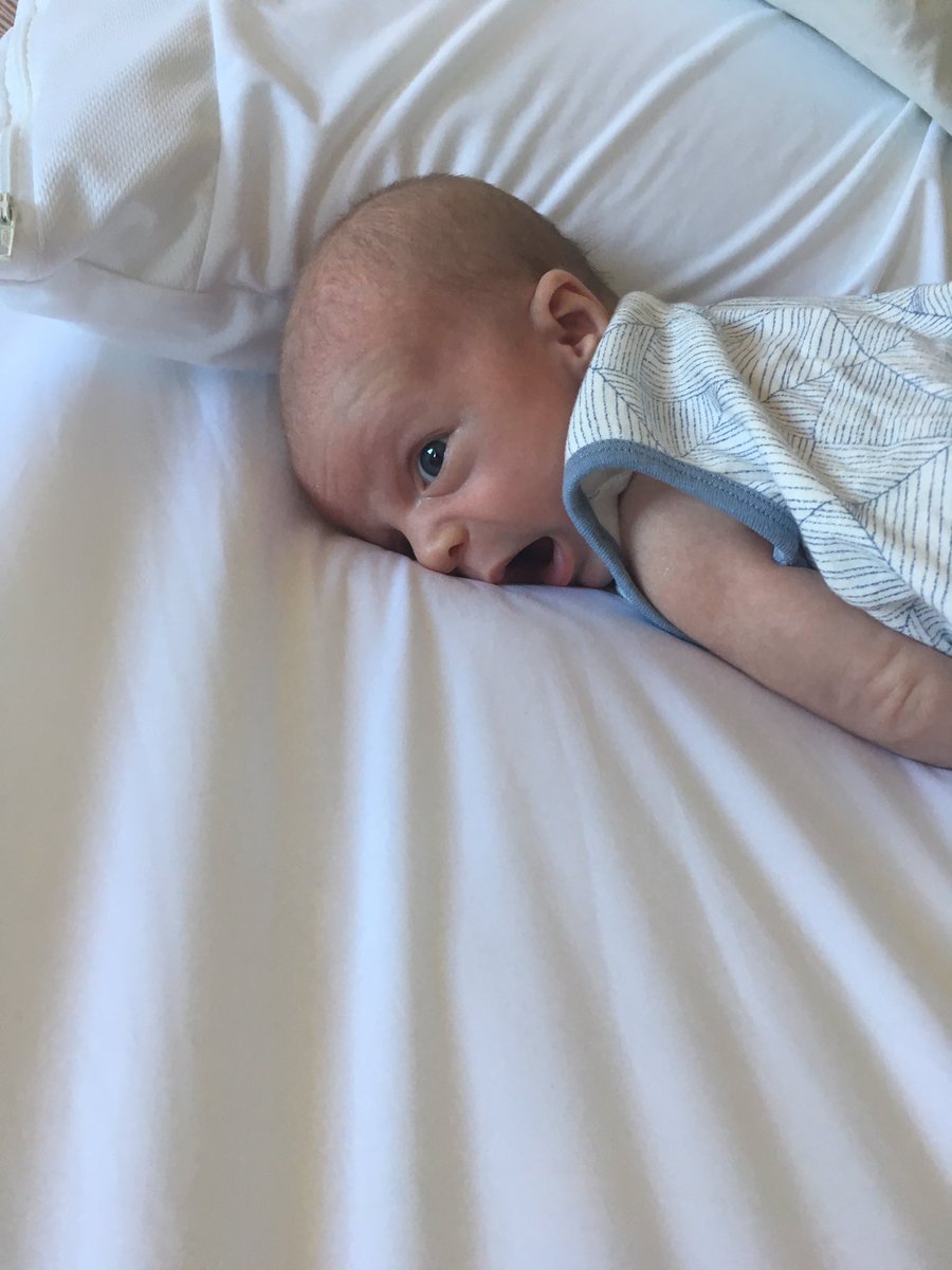 My one-month old watching the election results.