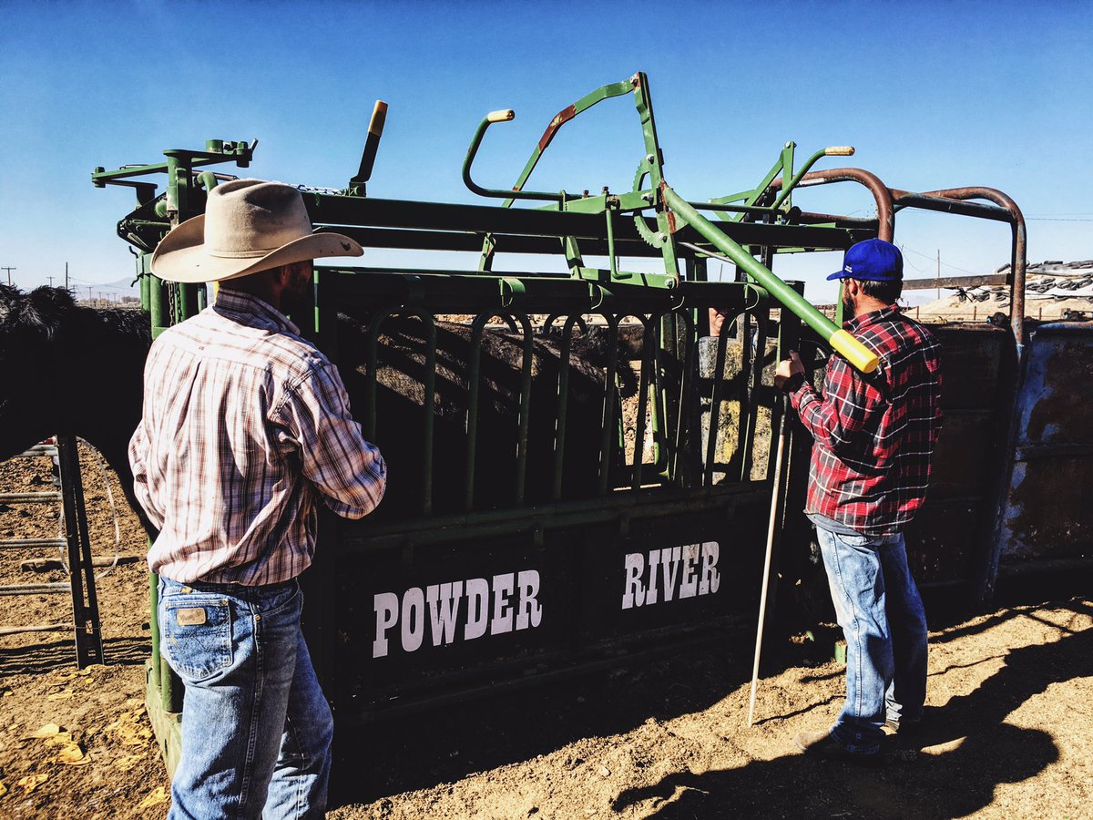 J12Ranch's tweet photo. How we spent Election Day! #j12ranchandlivestock #ranchlife #workingcows #pregcheck #electionday #ivoted #powderriver https://t.co/Uwqxi8itGZ