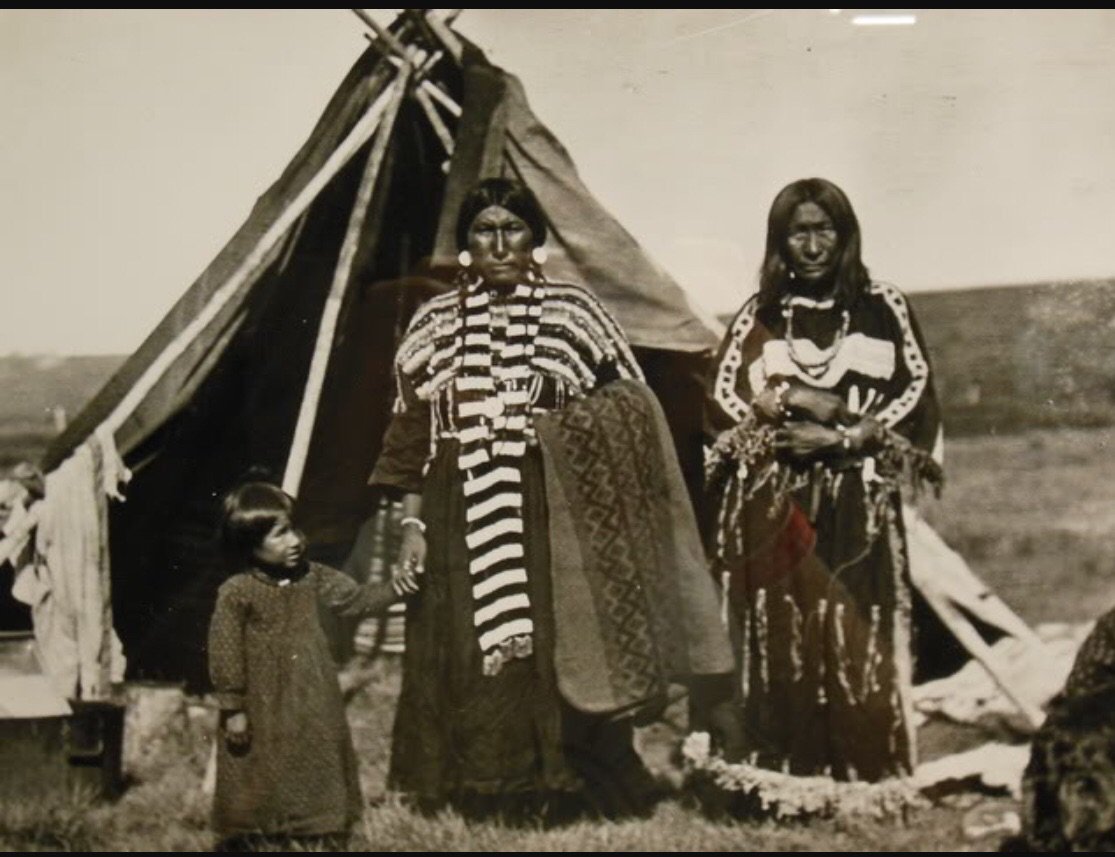 Child: "Mom what will we do?"

Mom: "we will do what we have always done for 10,000s of years: survive. acclimate. Adapt." #Indigenous