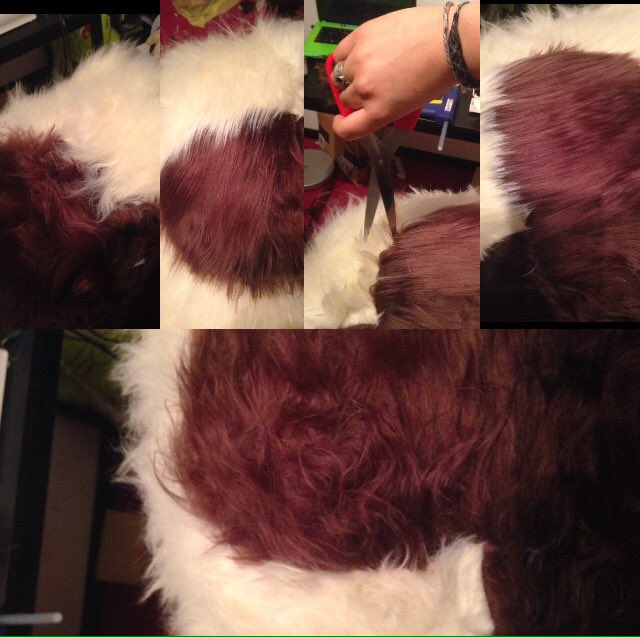 sozo_teki's tweet photo. Styling the appa-jacket👌🏻
#appacosplay#avatar#kreative#style! https://t.co/mloFRFJRmb