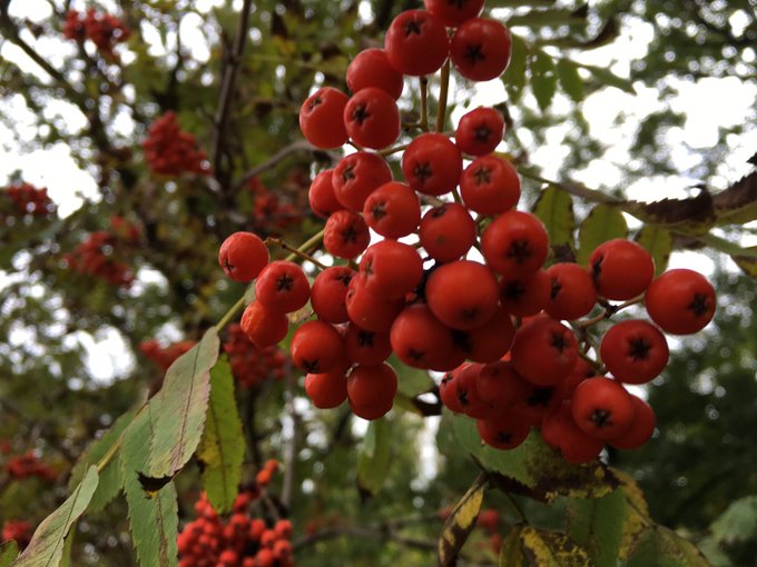 Ed Kuzovlev’s pics and videos