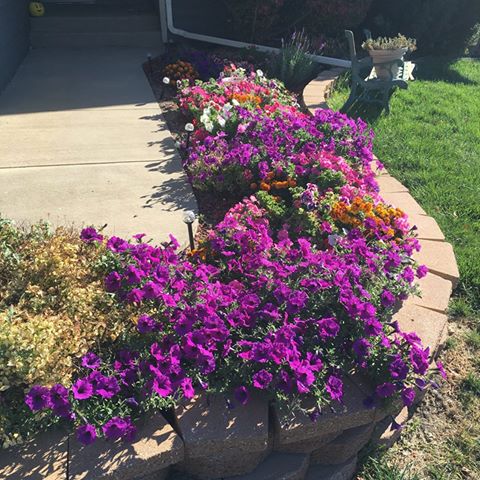 View image on Twitter