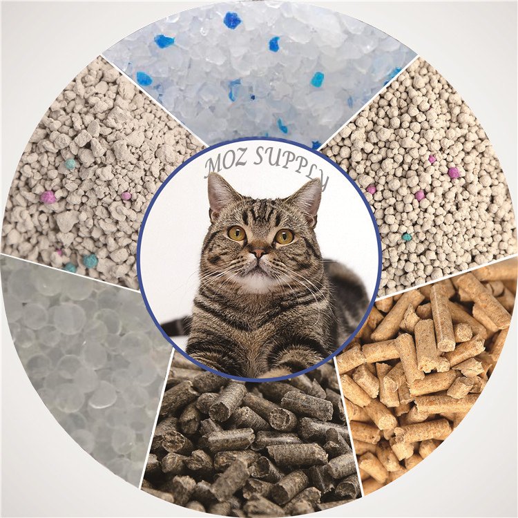 pet_moz's tweet photo. MOZ CAT LITTER https://t.co/4bALT81txV