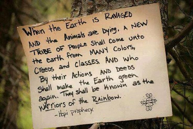 DrJillStein tweet picture