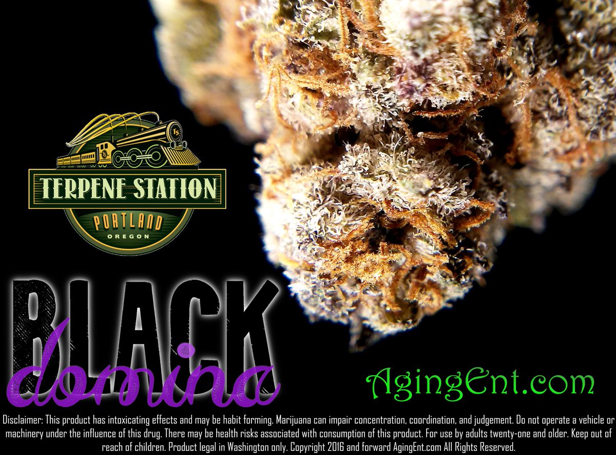 theAgingEnt's tweet photo. #BlackDomina at @terps.portland #TerpeneStation #ORPot #Brooklyn
https://t.co/o27fahKzm9
#LegalMarijuana #RecreationalCannabis #OLCC https://t.co/Gnktiu3aZW