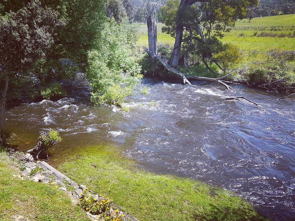 twitchelAU's tweet photo. Stopped for lunch break on our way out to #gordondam. Amazing view https://t.co/rRoC6Vk2t5 https://t.co/KwpfcDZxKC