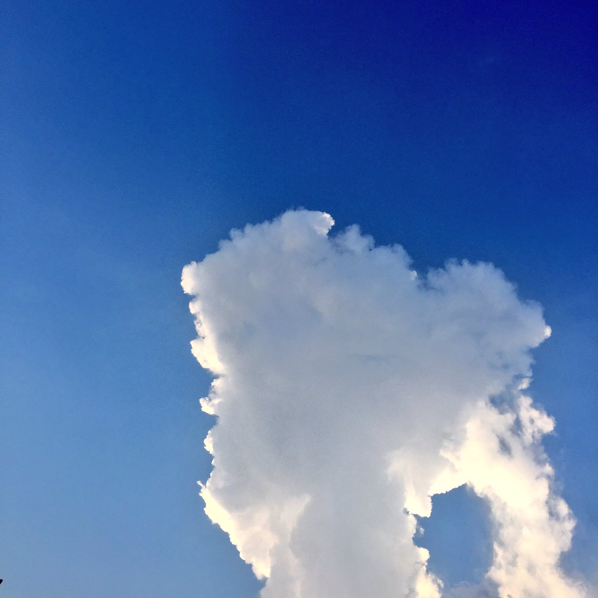 ما عاد أحبّك لا طواري
 ولا خل، دخيلك فِـل.