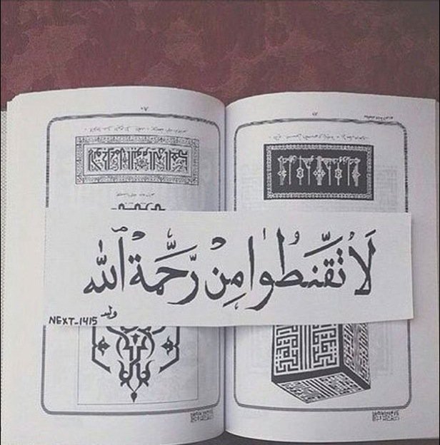 Body_il tweet picture