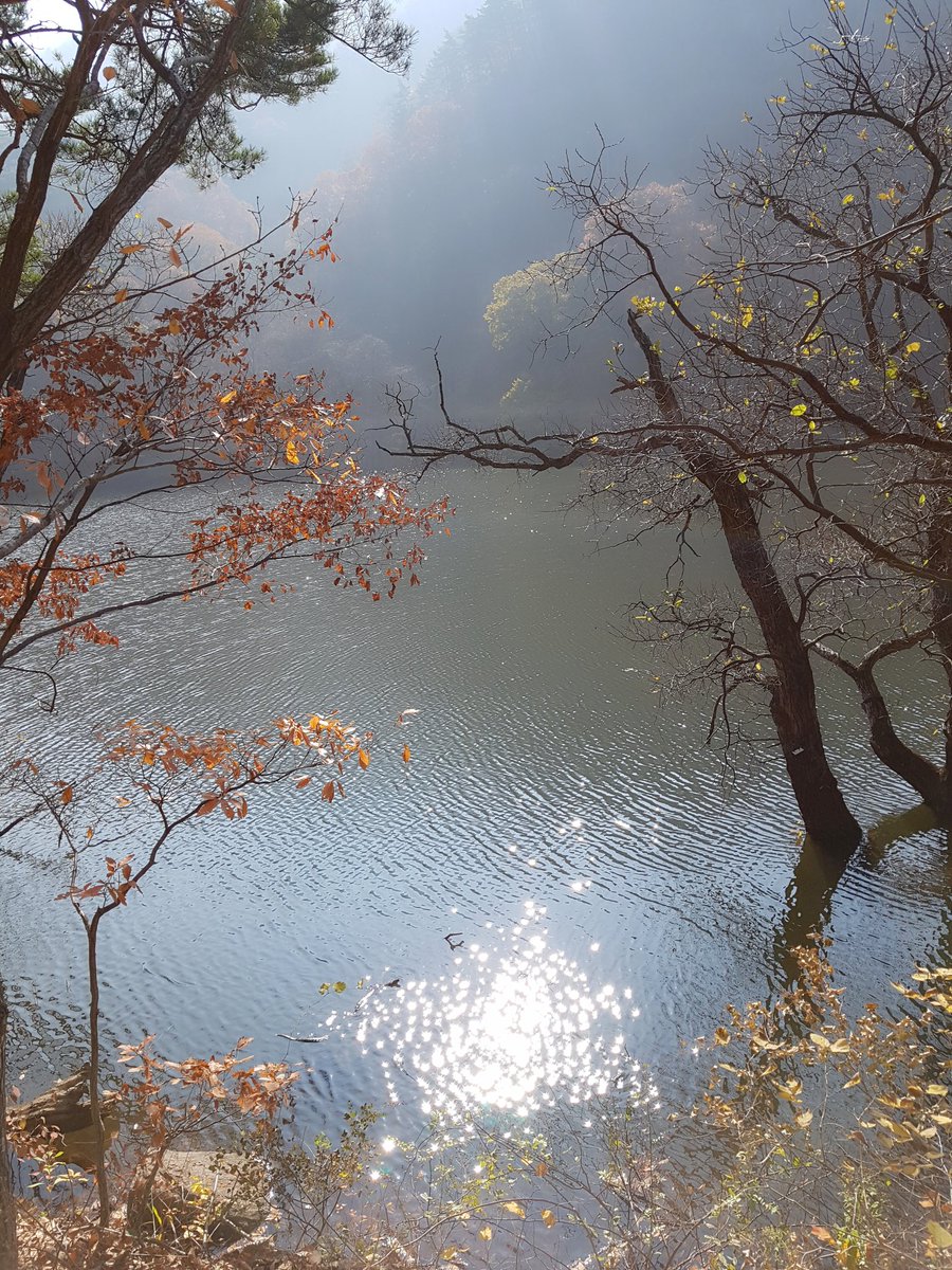 moongkl0417's tweet photo. @JGshock 주산지에 물이 가득한건 오랜만인듯요😍가을색이 한참 고운 오늘 내배우의 하루도 곱게 물드시길~😄 https://t.co/tBrrzzvEsU