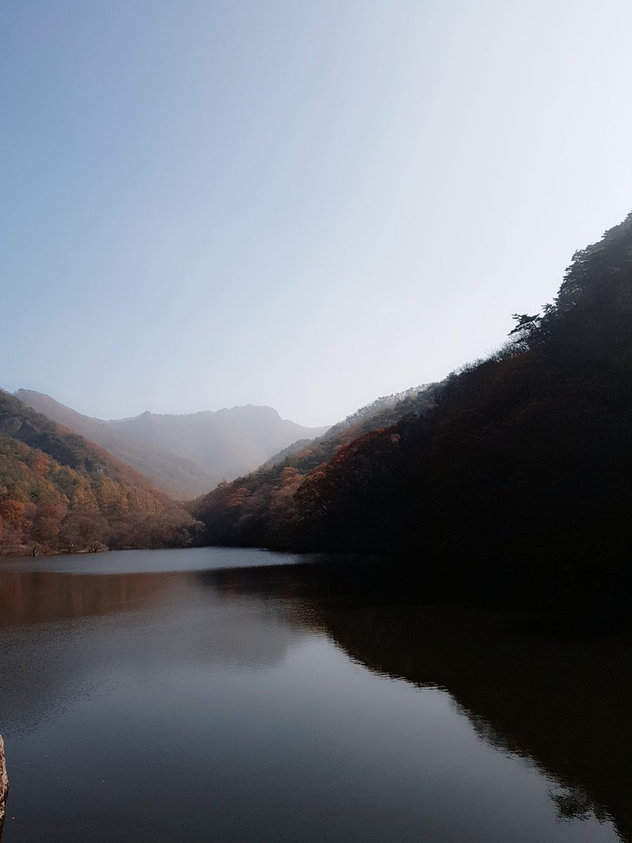 moongkl0417's tweet photo. @JGshock 주산지에 물이 가득한건 오랜만인듯요😍가을색이 한참 고운 오늘 내배우의 하루도 곱게 물드시길~😄 https://t.co/tBrrzzvEsU