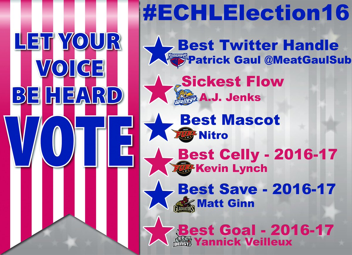 ECHL's tweet photo. Thanks to all who participated in #ECHLElection16 - here's a recap of your winners! https://t.co/GOiW6bmyid