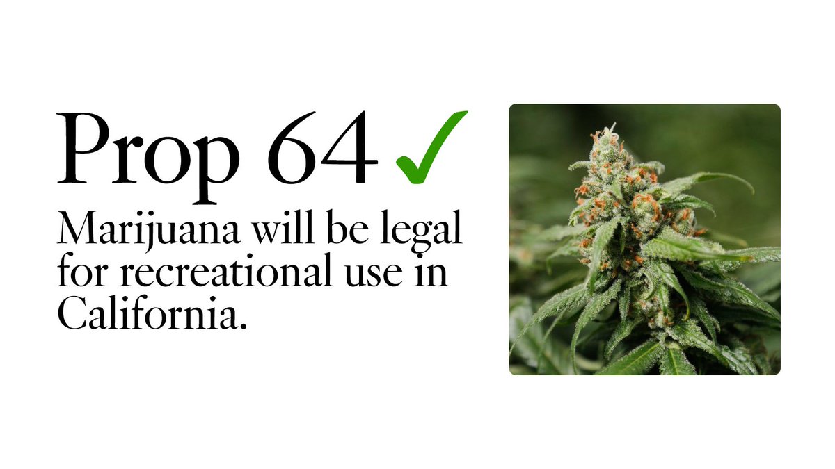 latimes's tweet photo. Californians vote to legalize recreational use of marijuana in the state. Prop. 64 passes: https://t.co/NsrR5Hxnbv https://t.co/kYBJbRraWj