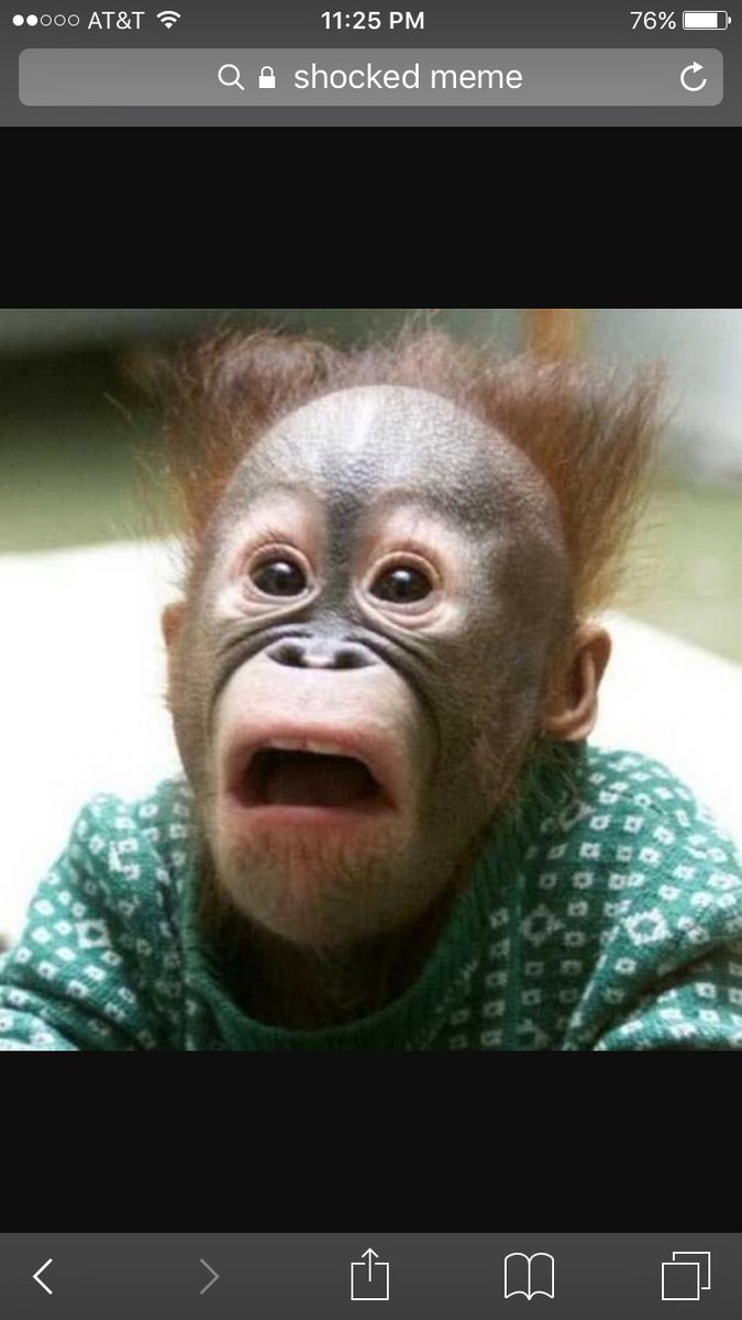 View image on Twitter View image on Twitter