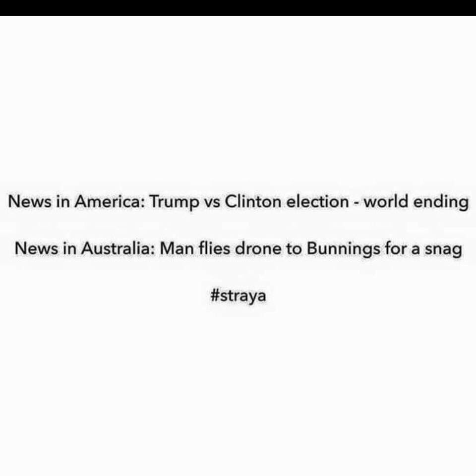 Nicole Borcovsky tweet media