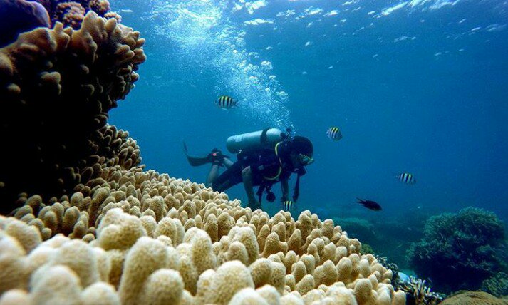 RendraKurnia5's tweet photo. Bayuwangi juga indah @KismaDonna @OsingTour @sangnurkholil @banyuwangi_kab https://t.co/ahnGHFa0Uh