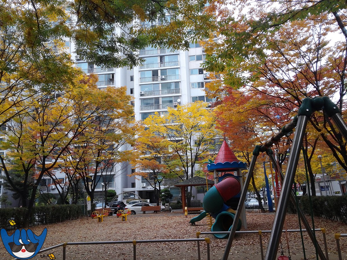 심쿵,심쿵한 부천^^
어제가 입동이었지만
그래도 아직은 가을인 부천의 모습~♡ 즐감하썹^^