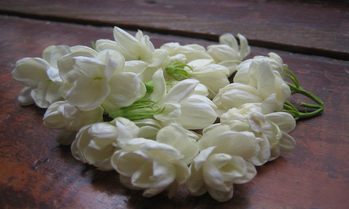 Sneha Das On Twitter A Very Beautiful Good Morning To U Your