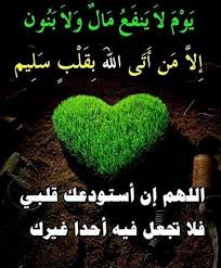 aliaszli tweet picture